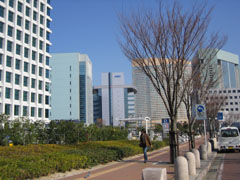 百道浜
